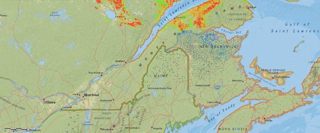 interactive-map | Spruce Budworm