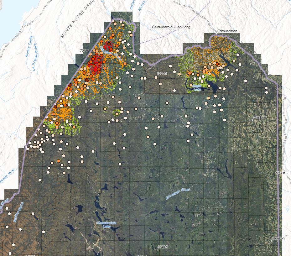 Interactive Outbreak Map